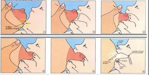 新手妈妈决定要母乳喂养,那这些常识,你一定